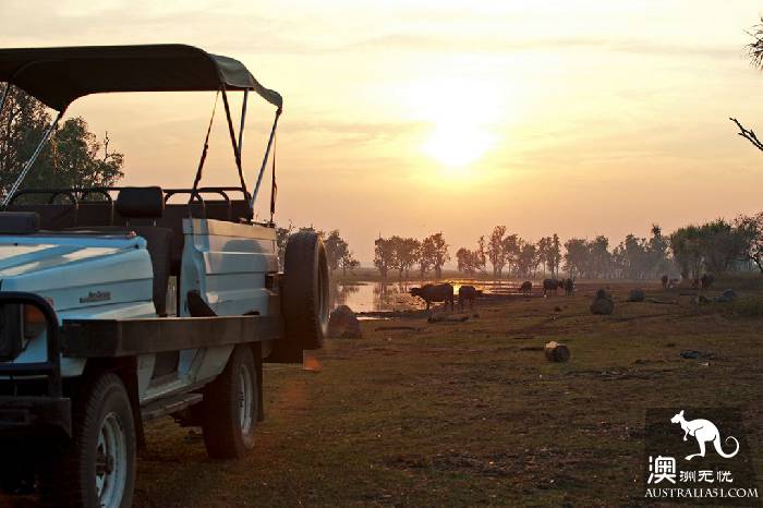 There is a kind of trip called wild luxury, there is a kind of hotel called Glamping