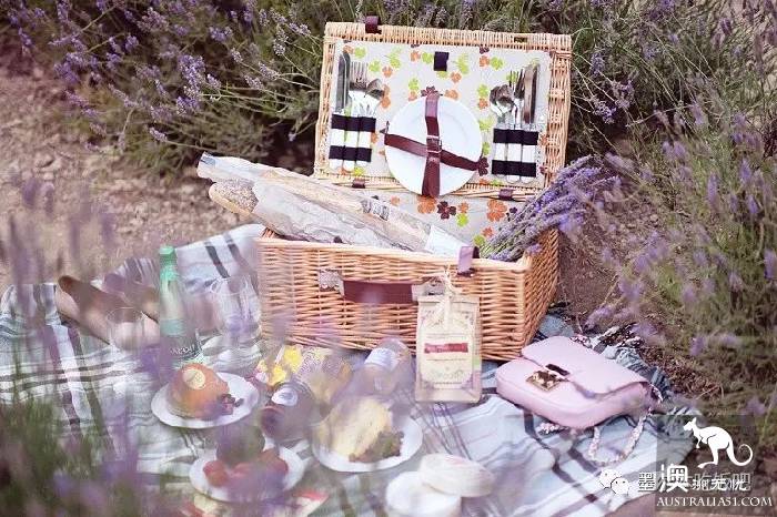 Victoria four famous lavender flowers sea the strongest introduction! Across to Provence in an instant.