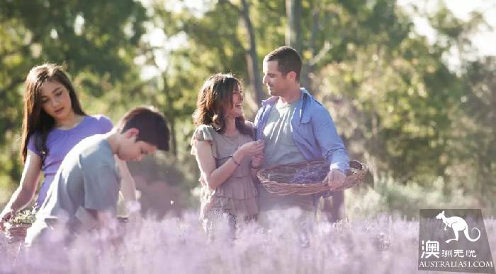 Melbourne's three most beautiful lavender gardens. I'm going to be a romantic fairy.