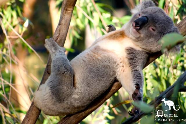 Finally! Melbourne's funniest places list! each Top15 is worth a whole day's play.