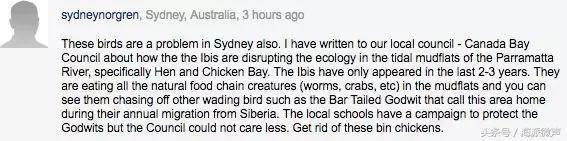 Finally knew what the 'junk bird' was on the streets of Australia, but government started ordering it to be hunted.