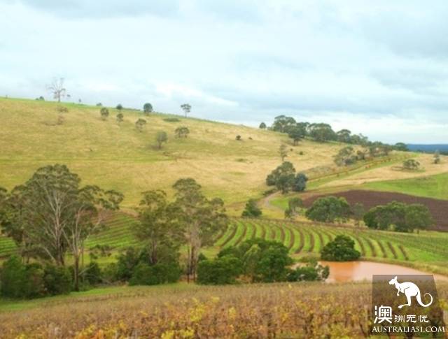 Now it must be known that each of the nine largest wine producers in Australia has hidden mystery.