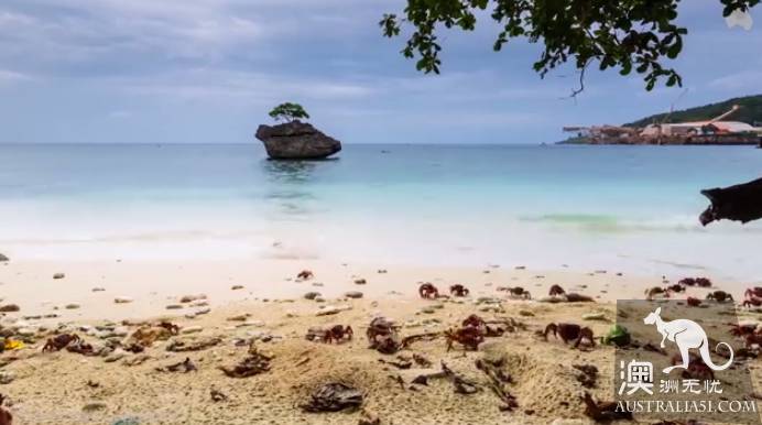 Shock Dotu! The 'Red Wave' attacked Christmas Island in Australia, a sight that is rare all over the world.