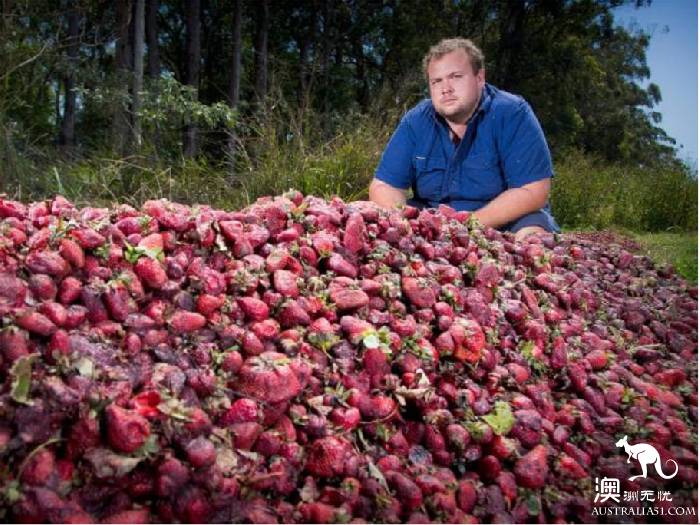 New state government uses DNA detection to find out who killed the strawberry needle culprit.