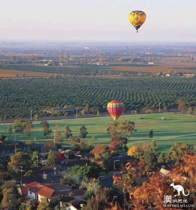 Now it must be known that each of the nine largest wine producers in Australia has hidden mystery.