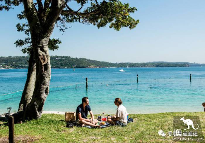 How romantic! These unknown picnic resorts in Sydney are picturesque! Put it away and sign in one by one.