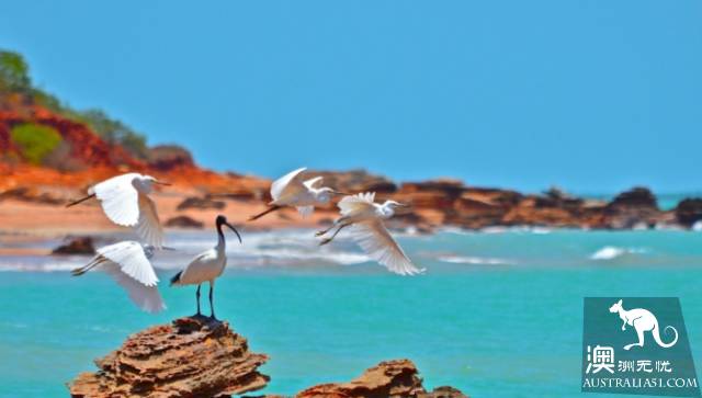 Ten million small towns in Australia, these 10 towns are most worthy of your visit.