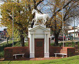 After Melbourne Cup, let's take a look at the past and this life of Melbourne Horse Farm.