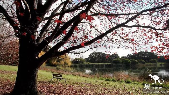 Sydney is the best place to go for a walk in 10 parks. Check in one by one on that sunny day.