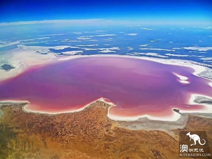 Lake El: the most mysterious lake in Australia, only once in 25 years.