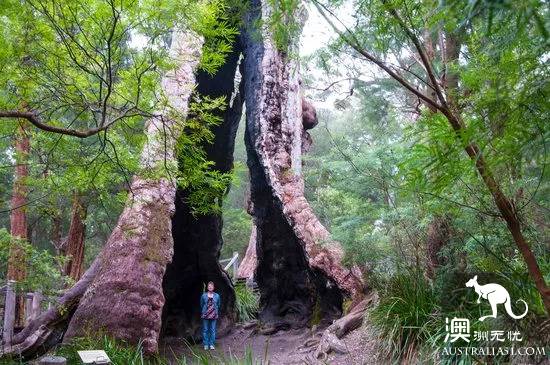 The 101 most beautiful and funniest things in Australia are all here, and there are no regrets to go to the end of this life.