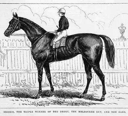 How can I have been in Melbourne without going to the racehorse? 2018 Melbourne Cup's best playbook is here.
