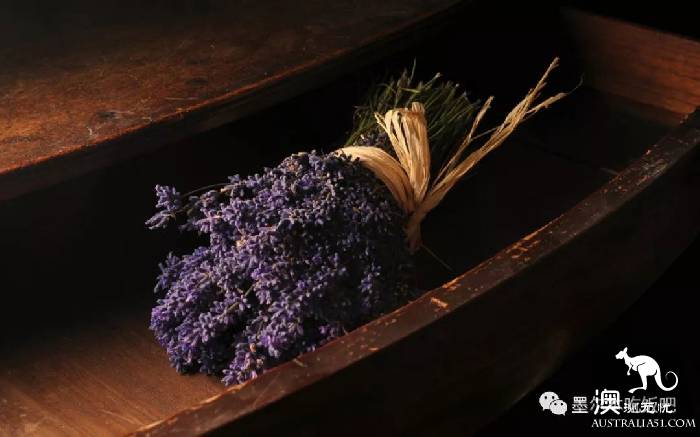 Victoria four famous lavender flowers sea the strongest introduction! Across to Provence in an instant.