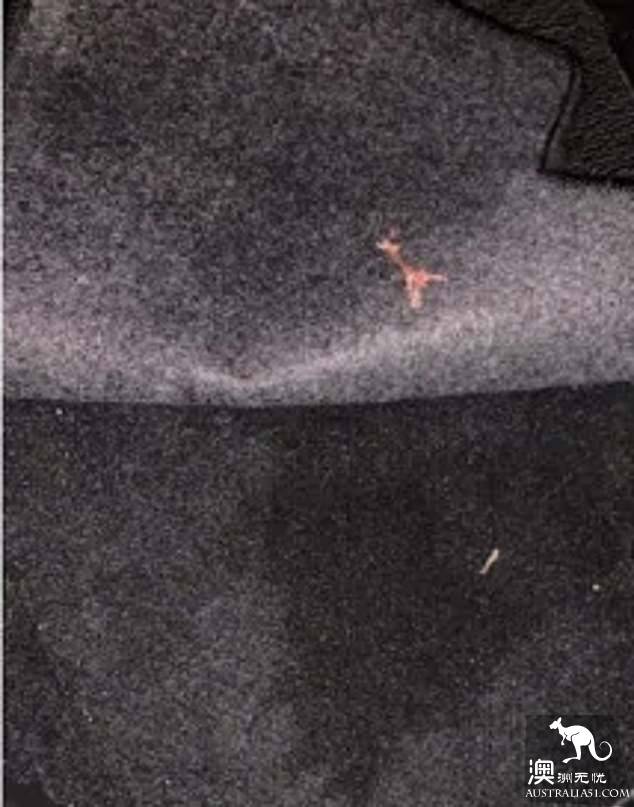 Uber driver forgery car dirty, two passengers were detained 150 dollars