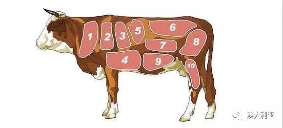 After 17 years, French beef returned to China, Australia: what do we do?