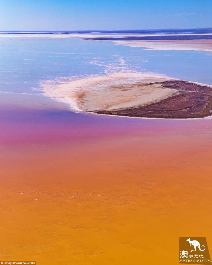 南澳的艾尔湖（Lake Eyre）开始变得色彩缤纷，吸引了大批游客前往