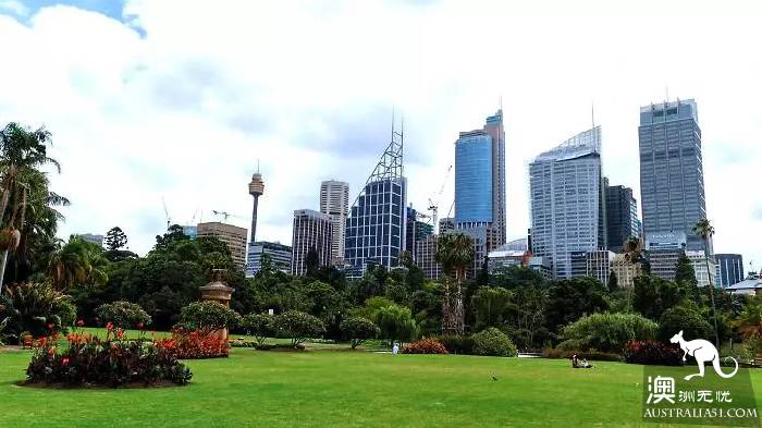Sydney is the best place to go for a walk in 10 parks. Check in one by one on that sunny day.