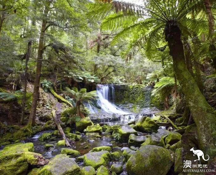 Sydney will have a magical thing to happen, a group of elves outside Sydney, like a dream!