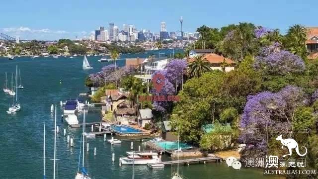 Brisbane is going to make the world jealous again! October's village is a purple fairy tale.