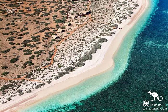 There is a kind of trip called wild luxury, there is a kind of hotel called Glamping