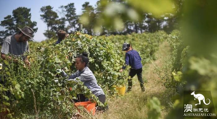 New deal of working holiday visa: 3-year signing, renewal requirement relaxed