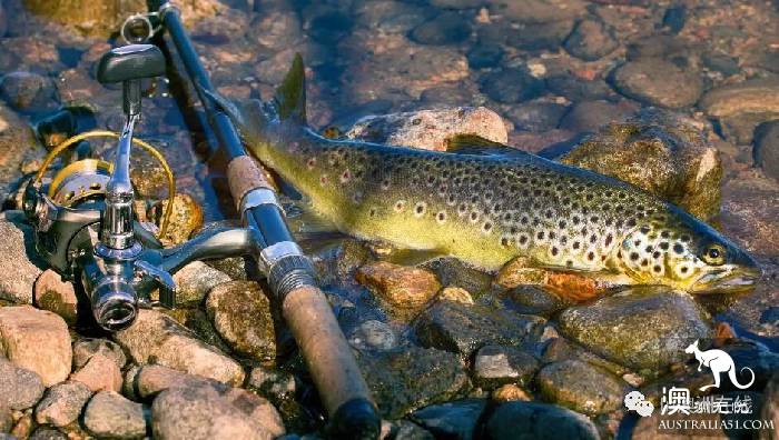 Melbourne short holiday Get Away introduction! Go fishing and enjoy a leisurely journey