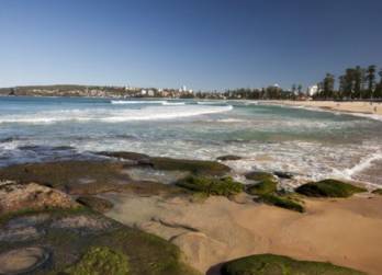 It's beautiful! 90% of Sydney's 12 beaches don't know!