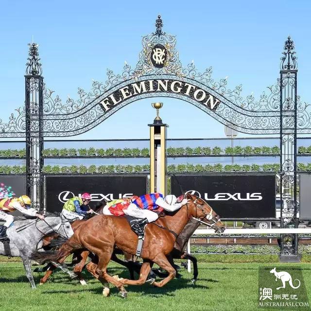 How can I have been in Melbourne without going to the racehorse? 2018 Melbourne Cup's best playbook is here.