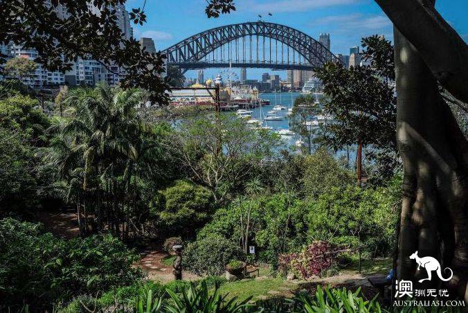 How romantic! These unknown picnic resorts in Sydney are picturesque! Put it away and sign in one by one.