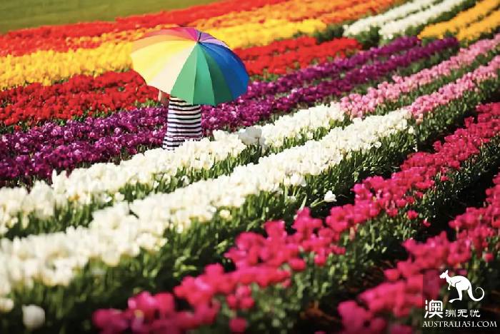 It's officially in the spring! It's a great place to stay in Melbourne. Pick up a card!