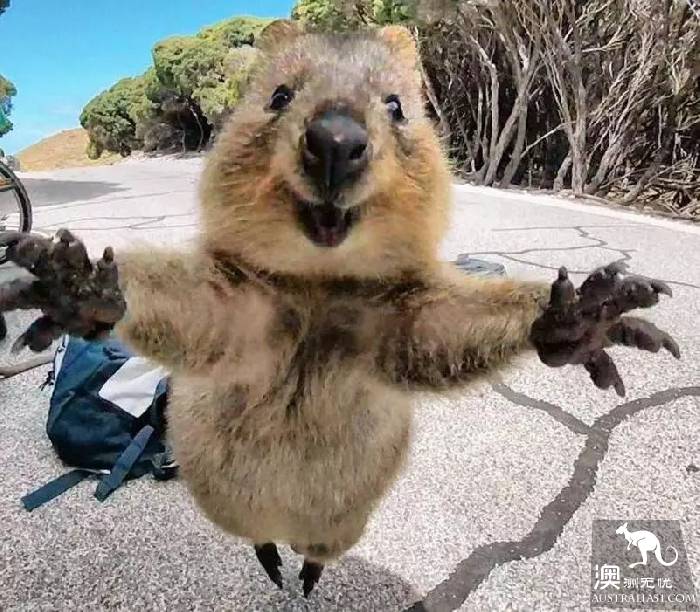 The 101 most beautiful and funniest things in Australia are all here, and there are no regrets to go to the end of this life.