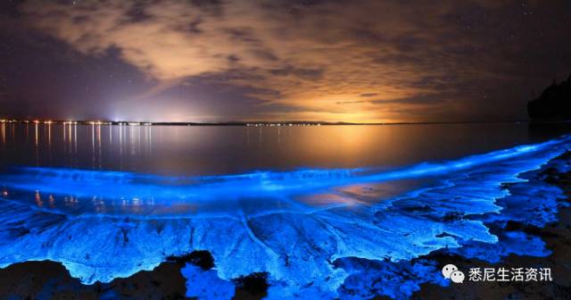 It's beautiful! 90% of Sydney's 12 beaches don't know!