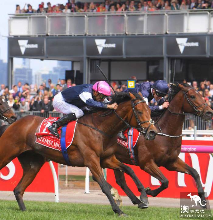 How can I have been in Melbourne without going to the racehorse? 2018 Melbourne Cup's best playbook is here.