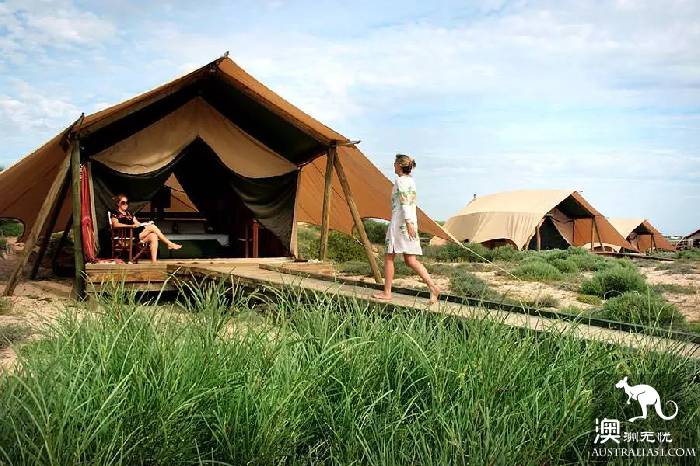 There is a kind of trip called wild luxury, there is a kind of hotel called Glamping
