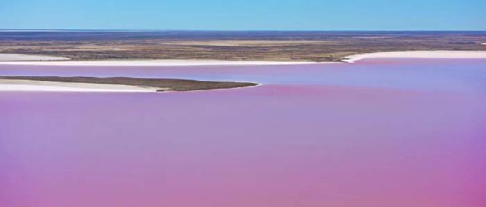 Lake El: the most mysterious lake in Australia, only once in 25 years.