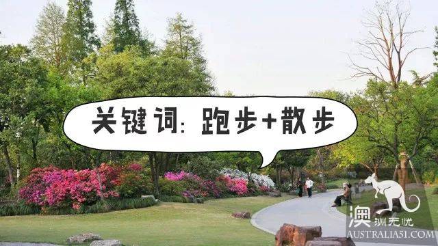 墨尔本公园攻略：喜欢跑步？遛娃？遛狗？这8个绝美公园满足你！