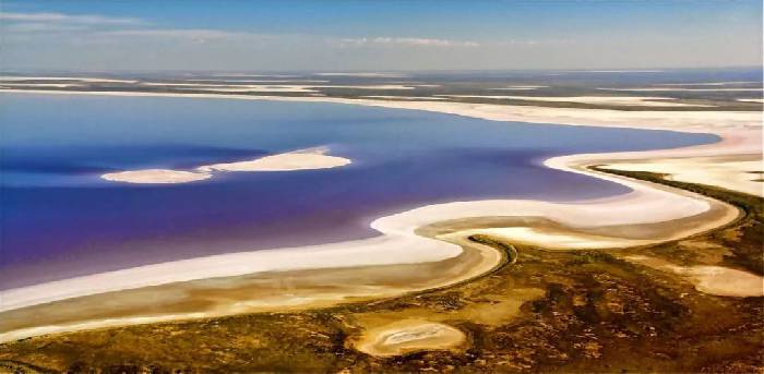Lake El: the most mysterious lake in Australia, only once in 25 years.