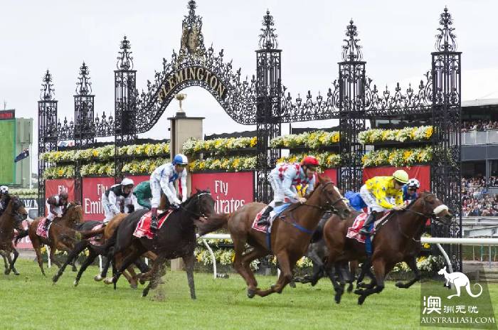 After Melbourne Cup, let's take a look at the past and this life of Melbourne Horse Farm.