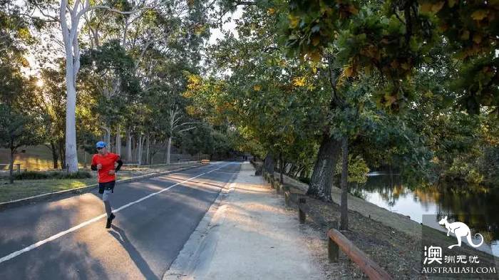 Sydney is the best place to go for a walk in 10 parks. Check in one by one on that sunny day.