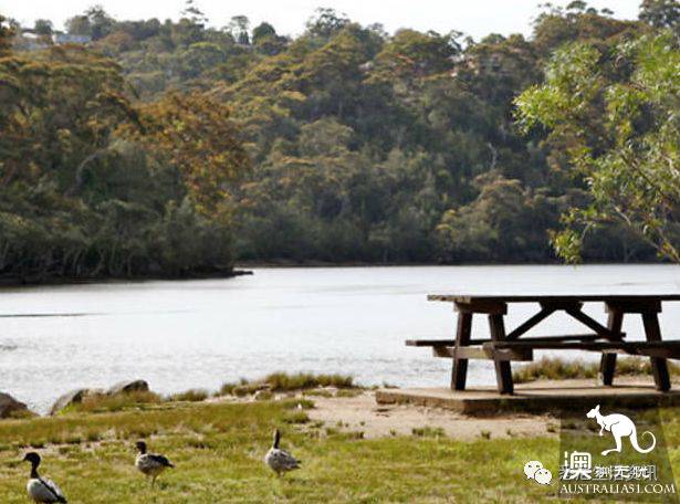 How romantic! These unknown picnic resorts in Sydney are picturesque! Put it away and sign in one by one.
