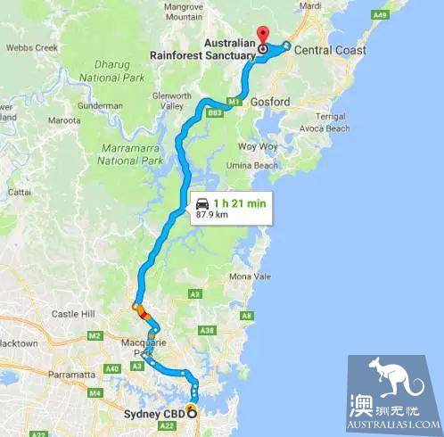 Sydney will have a magical thing to happen, a group of elves outside Sydney, like a dream!