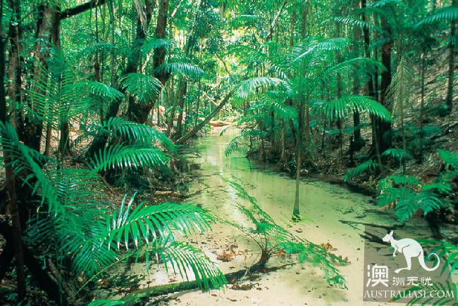美丽的世外桃源：世界遗产费沙岛（Fraser Island）攻略