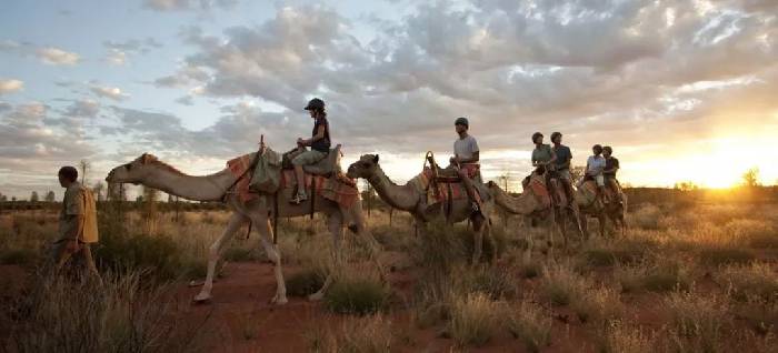 There is a kind of trip called wild luxury, there is a kind of hotel called Glamping