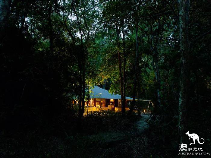 There is a kind of trip called wild luxury, there is a kind of hotel called Glamping