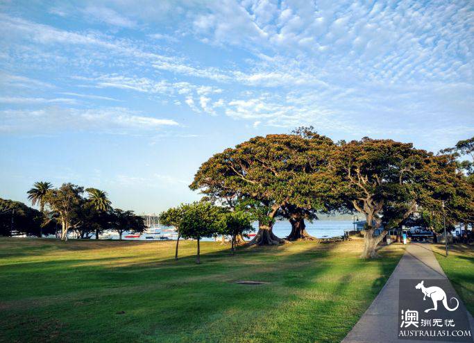 How romantic! These unknown picnic resorts in Sydney are picturesque! Put it away and sign in one by one.
