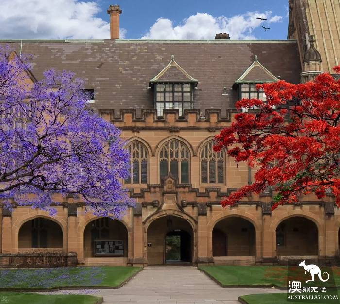 Early spring, Sydney around the 'flirting with grass' full introduction, have you learned?