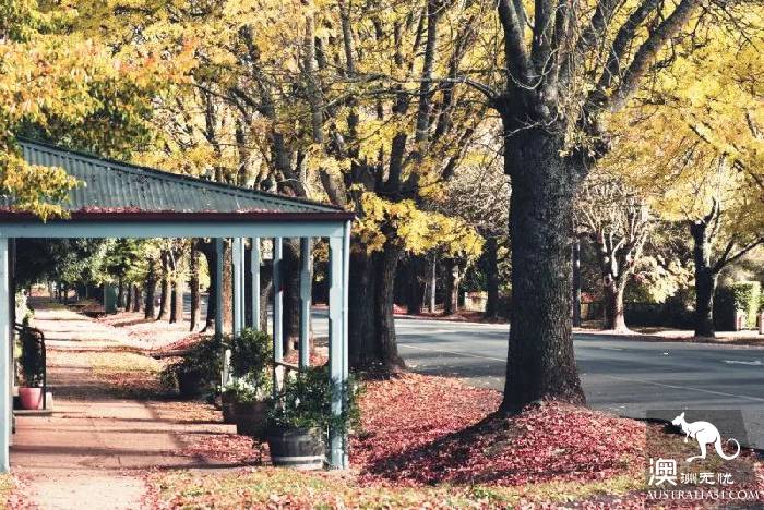 Mei cried! This retro town near Melbourne, Daylesford, takes you through to the 19th century in a second.