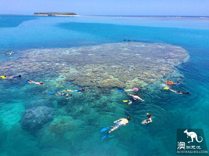 私藏的绝美珊瑚礁：怀抱中的马斯格雷夫夫人岛（Lady Musgrave Island）​