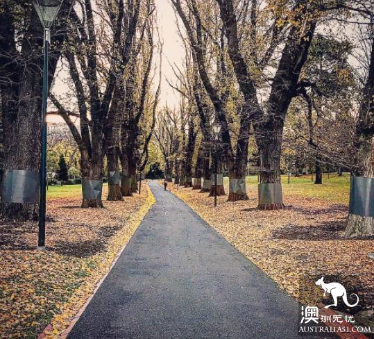 Finally! Melbourne's funniest places list! each Top15 is worth a whole day's play.