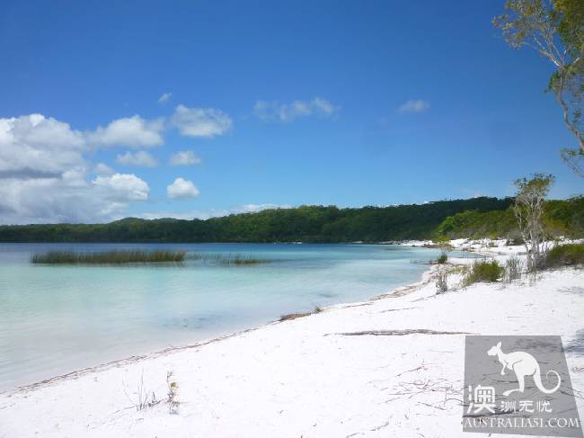 美丽的世外桃源：世界遗产费沙岛（Fraser Island）攻略